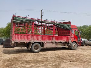 金用護欄2021年4月29日鋅鋼飄窗護欄發貨！